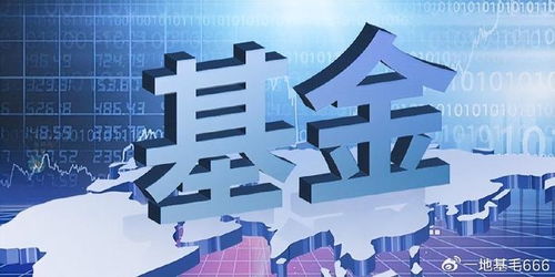 招商基金侯昊 為何此時(shí)放開基金限購？探尋企業(yè)自有資金入市的新機(jī)遇